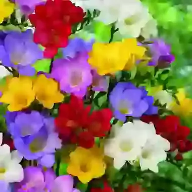 Single Mixture